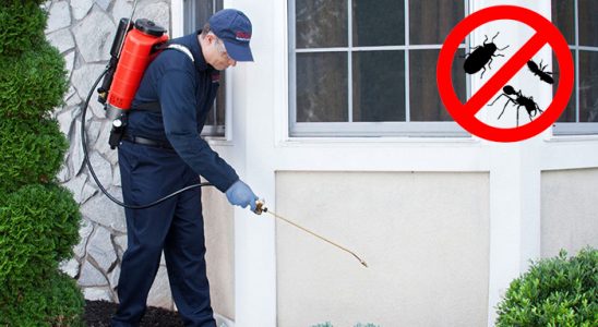 Gülağaç Gümüşkurt İlaçlama böcek ilaçlama ve haşere kontrolü — ilaclama-tr.com